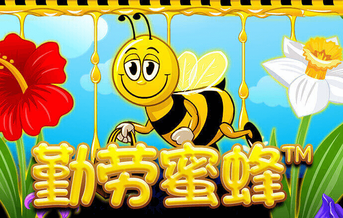 金年华体育平台官网